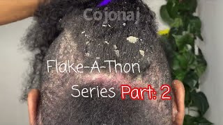 Flake- A-Thon Part: 2