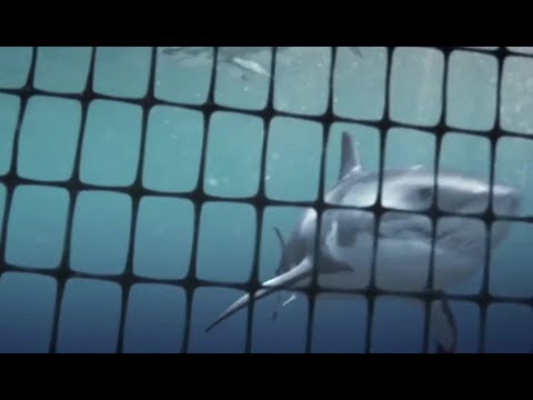 Benditos y felices son aquellos que guardan los mandamientos de Dios - Élder Von G. Keetch