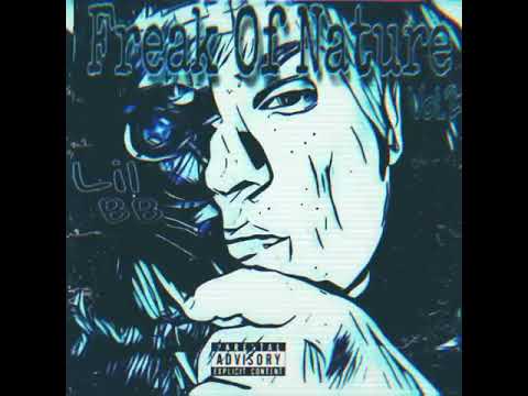 The Usual - Lil BB Ft. BmG of Southside Syndicate (prod. MAJZKLUANI x dddystopia)