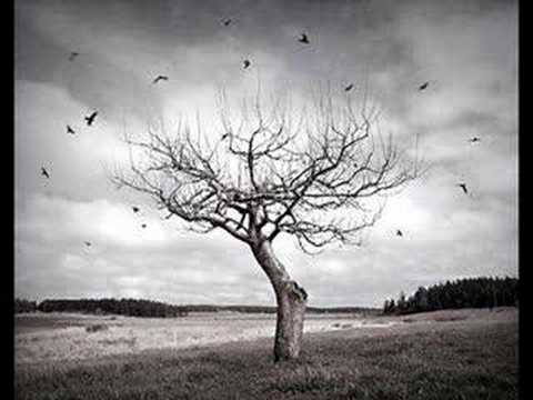 seni cok seviyorum yapamaz kalbim sensiz