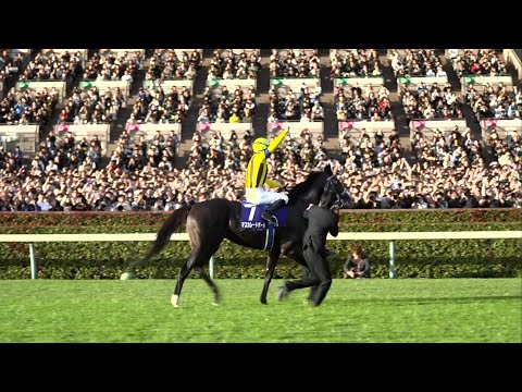 SIX Tenno Sho triumphs for Christophe Lemaire! 🇯🇵 | Racing TV