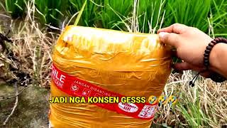 Download lagu Pesanan Khusus PAKET 9 NAGA Lengkap SP SI & ST   Aroma Per4ngsang Walet mp3