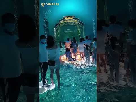 "Vinayak Tourism Tours: Special Experiences You Can't Miss!"