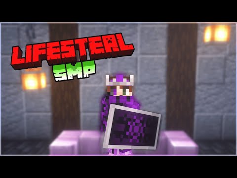 Minecraft, But It's a lifesteal Smp Application