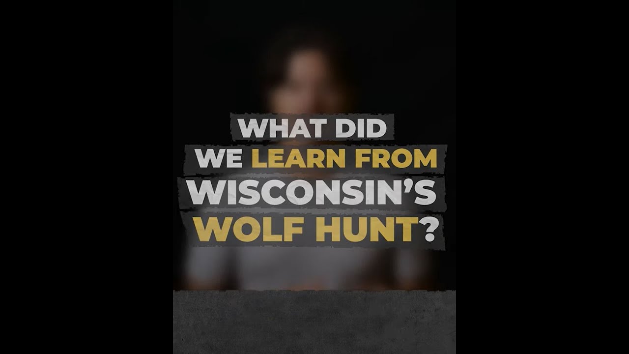 What did we learn from Wisconsin's wolf hunt?