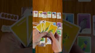 Busy Beaks – Family Card Game in 60 Seconds