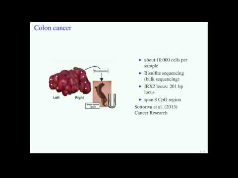 BitPhylogeny: A Probabilistic Framework for Reconstructing Intra-tumor Phylogenies