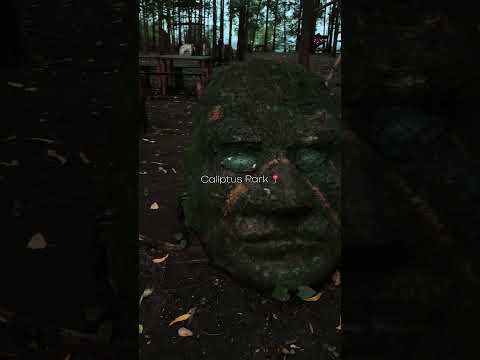 Caliptus Park Malacatan San Marcos
