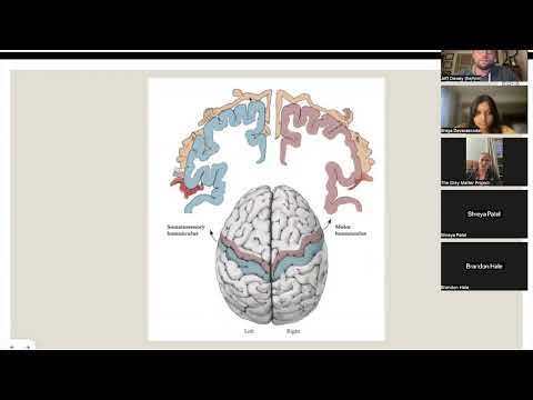 Neuroanatomy - Lecture 1, 2023-2024