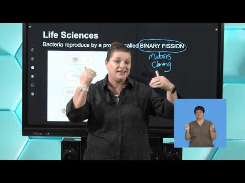 Gr11 Life Sciences  - Bacteria