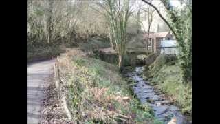 preview picture of video 'Wye Walks - Redbrook to Tintern Station'
