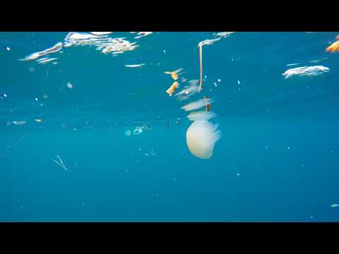 Kroatien Labin Urlaub, nette Eindrücke