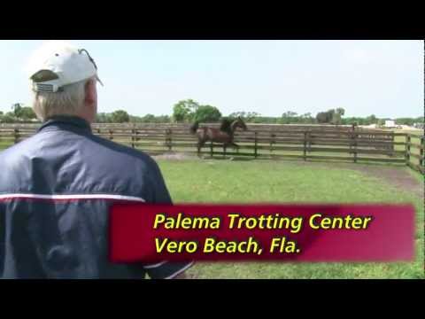 Aperfectyankee -- Hoof Beats 2013 Trotting Preview