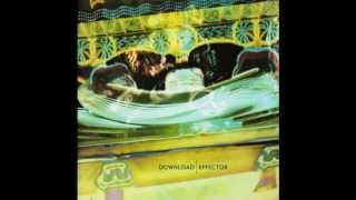 Effector 06 Chrysanthemum