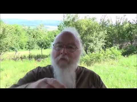 Wolfgangs tiefe Einsichten in die Schöpfung Teil 2