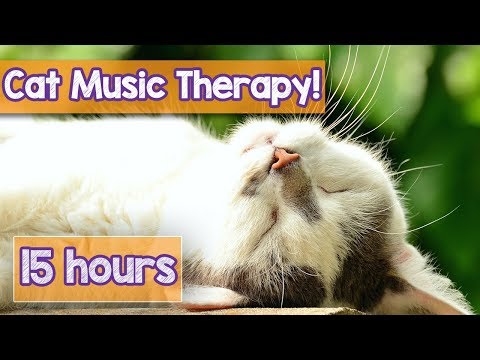 PET MUSIC THERAPY for Cats, Natural Remedy to Anxiety and Loneliness. De-Stress and Relax Cats!