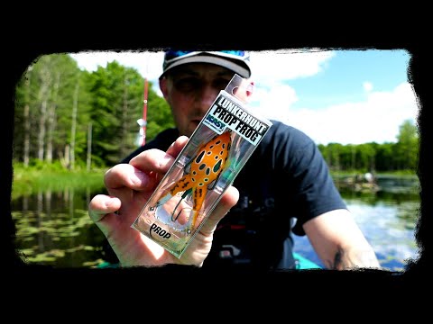 LunkerHunt Prop Frog Review | Does It Work?
