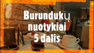 119. Burundukų nuotykiai. 5 dalis, Jauki kavinė. Dviračiais po miestą.