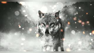 Video Cela - Žoldáci