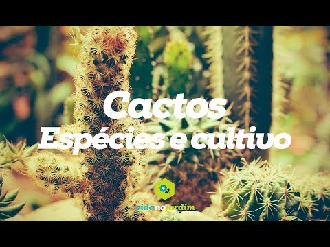 , title : 'Cactos - Espécies e Cultivo com Paulo Xavier'