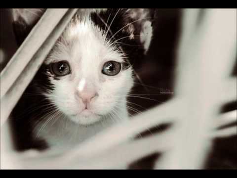 Seven24 - One Moment (Chris Wonderful Vocal mix)