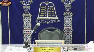 בית המדרש "תורת דוד" ¤ לעילוי נשמת הילד ישי בן נועה ז"ל ¤ ב' אלול תשפ"ה (26.8.2024) (מוסדות תורת דוד) - התמונה מוצגת ישירות מתוך אתר האינטרנט יוטיוב. זכויות היוצרים בתמונה שייכות ליוצרה. קישור קרדיט למקור התוכן נמצא בתוך דף הסרטון