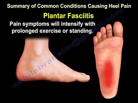 Heel Pain & The Baxter's Nerve - Everything You Need To Know - Dr. Nabil Ebraheim