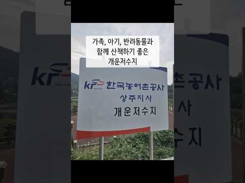 가족, 아기, 반려동물과 함께 가기 좋은 개운저수지