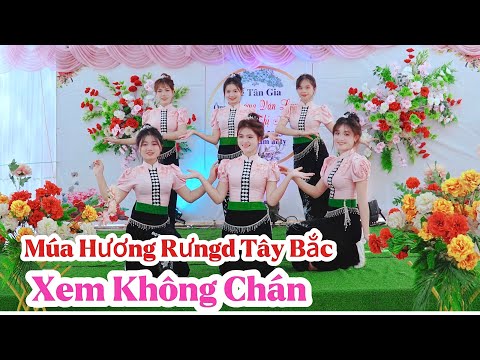 MÚA HƯƠNG RỪNG TÂY BẮC XEM KHÔNG CHÁN BIỂU DIỄN NHÓM MÚA BAN MAI