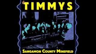 The Timmys - Sangamon County Minefield LP (2012)