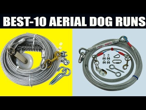 THE 10 BEST AERIAL DOG RUNS || YOU CAN BUY ON AMAZON