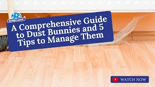 A Comprehensive Guide to Dust Bunnies and 5 Tips to Manage Them