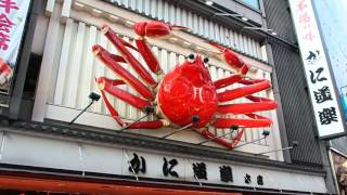 2015-04-29 Dotonbori, Osaka
