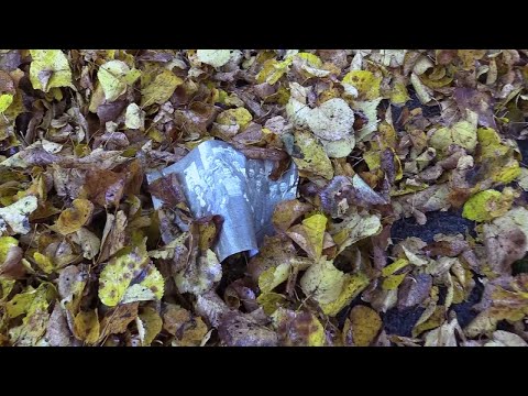 Eine Klasse, viele Schicksale - Abitur 1937 38 - Jufinale 2021 Sonderpreis - 009