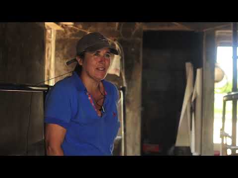 Virginia Bacci Productora lechera