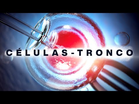 A Revolução das Células-Tronco