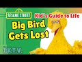 Sesame Street Kids Guide To Life VHS Full Episode 3 Big Bird Gets Lost 1998