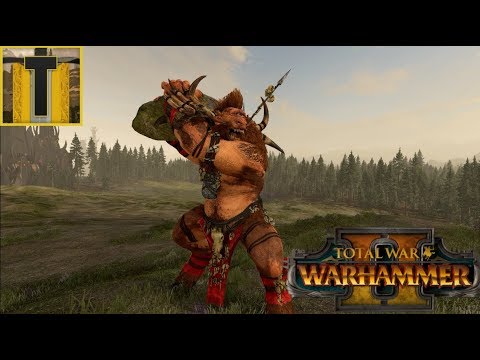 [81] Cygor Mage-Warhammer 2 Multiplayer