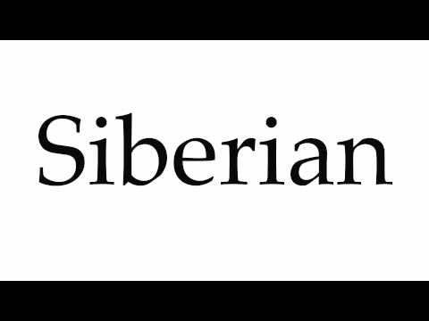 How to Pronounce Siberian