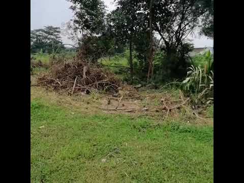 kav bogor dkt jl pajajaran di jln bukit tunggul ujung