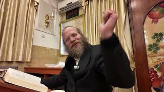 פרשת שמיני תשפ"ו | הרב צבי חלמיש שליט"א | אור החיים