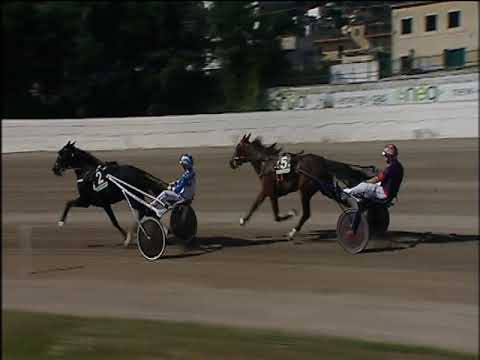 Trotto 20/10/2019 - 1ª corsa