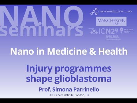 Injury programmes shape glioblastoma (Prof Simona Parrinello)