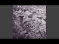 Catwoman (Slowed + Reverb)