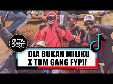 DJ DIA BUKAN MILIKKU X TDM GANG FYP 2025!!! ( ALDY BEAT FUNKY KUPANG )