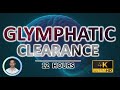 Overnight Brain Detox Glymphatic Clearance Noise For Deep Sleep 12 Hours Black Screen