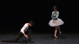 Swan Lake: A beginner&#39;s guide - Ballet Mime (The Royal Ballet)