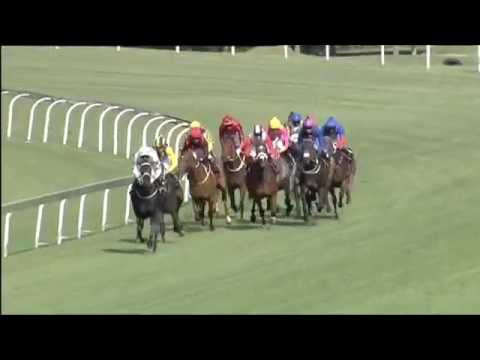 2016.11.26 Fillies Mile (RSA) - Smiling Blue Eyes