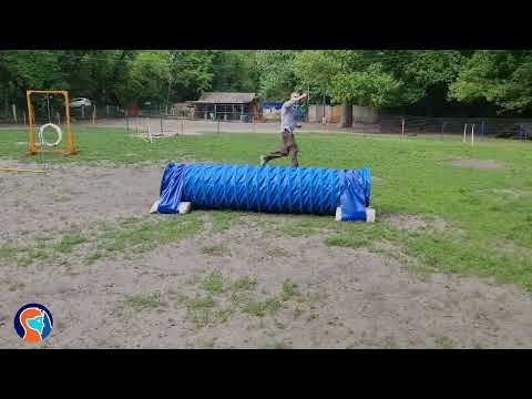 Tükör Módszer életmód programok - Agility