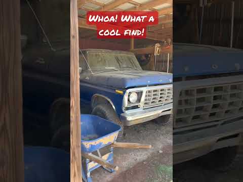 Thumbnail for Cool Barn find! #oldford #stepside